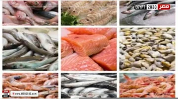 أسعار السمك في سوق العبور اليوم.. الجمبري يتربع على القمة